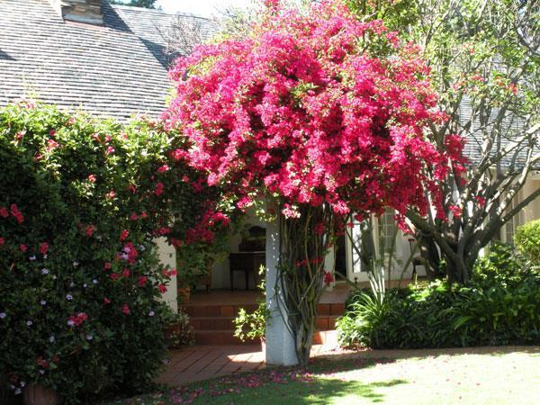 Melrose Place Boutique Gasthuis 4*